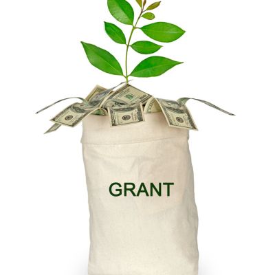 Image showing a bag of dollars with Grant written on it and a plant growing from it